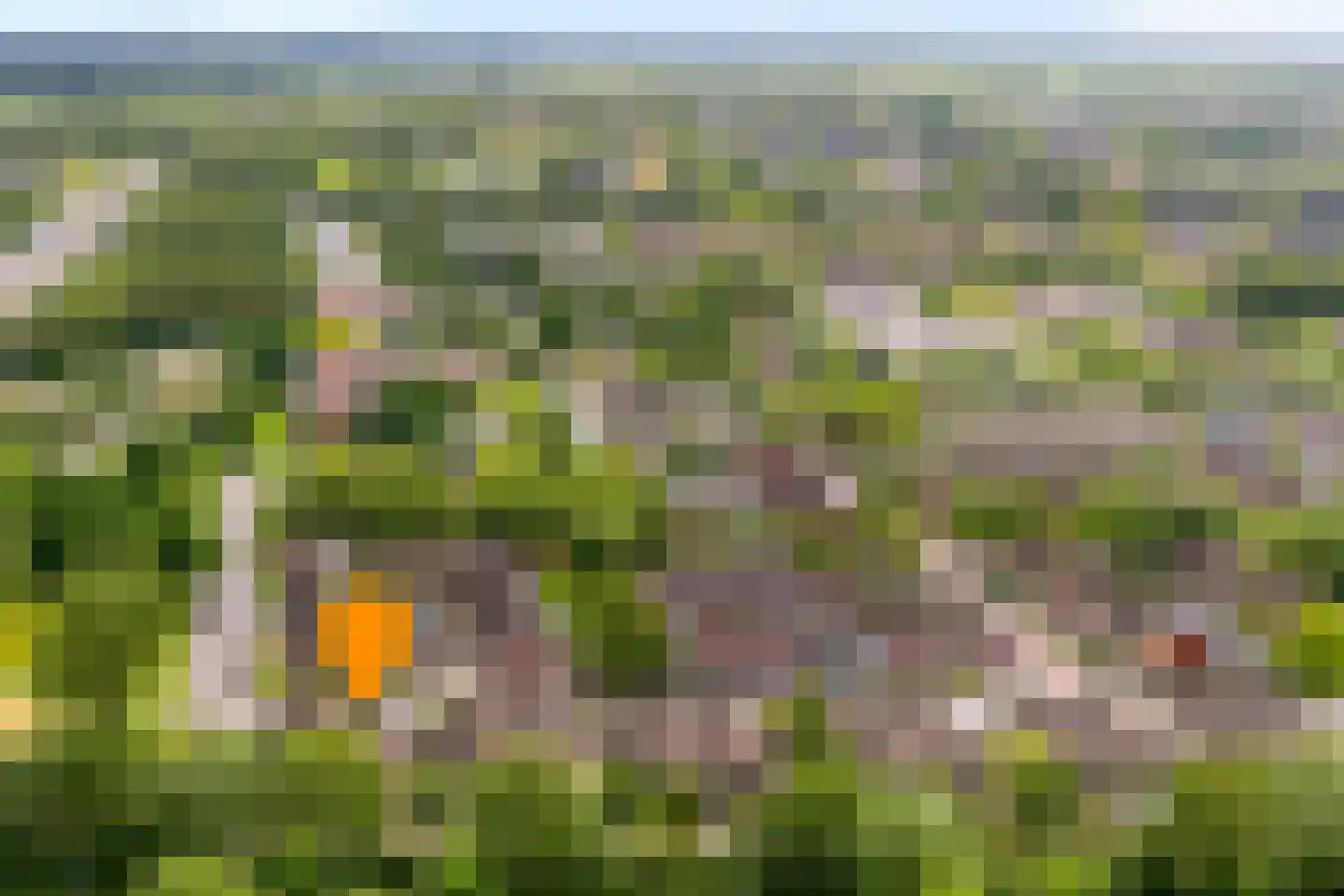 Kolffstraat 5 Hoogeveen thumbnail 5