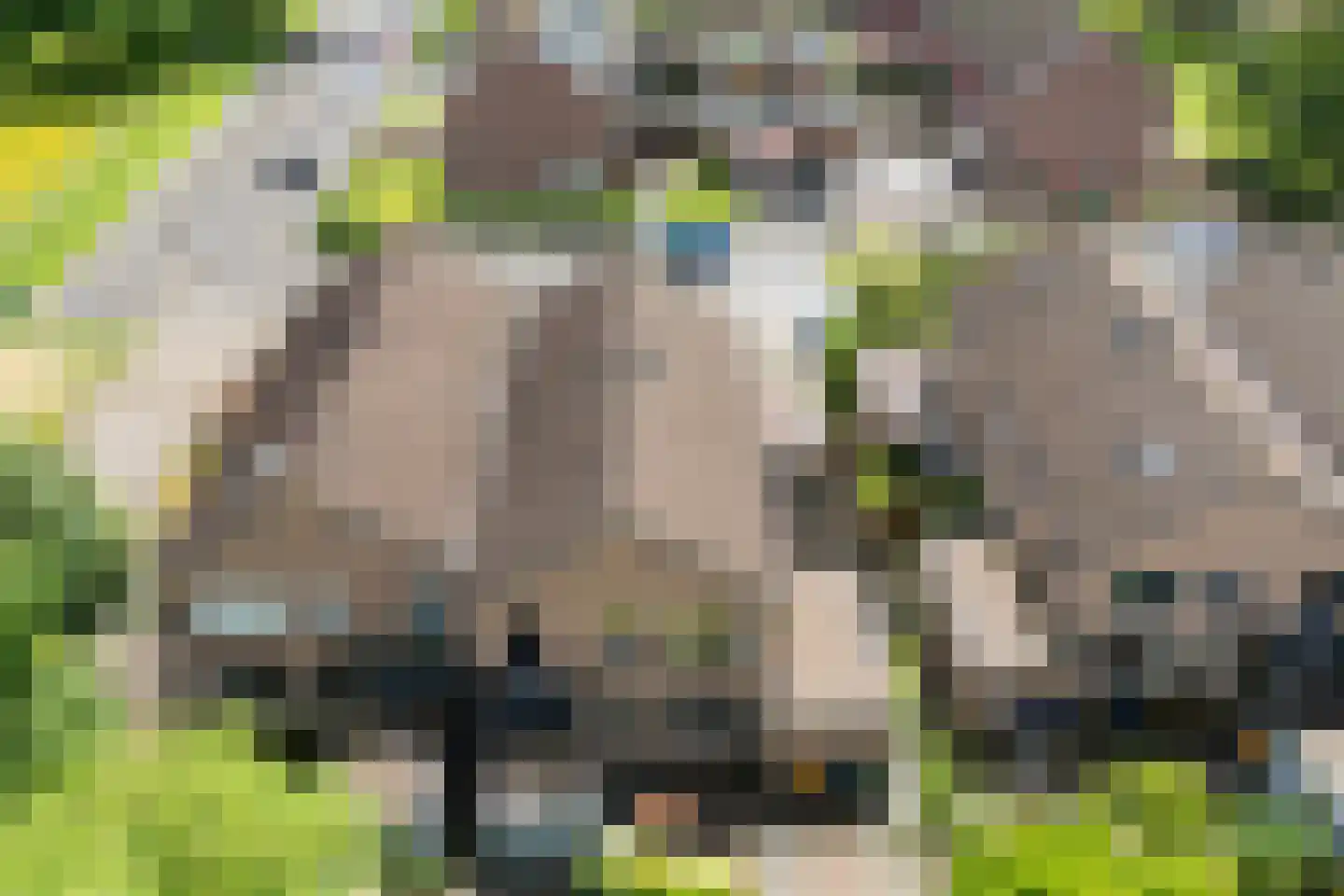 Kolffstraat 5 Hoogeveen thumbnail 6