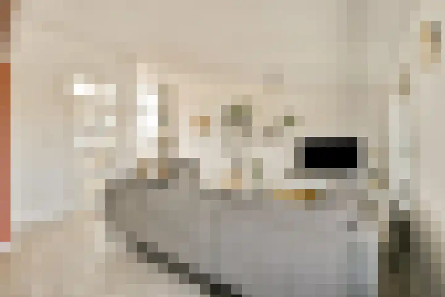 Kolfschotenstraat 206 Amsterdam thumbnail 7