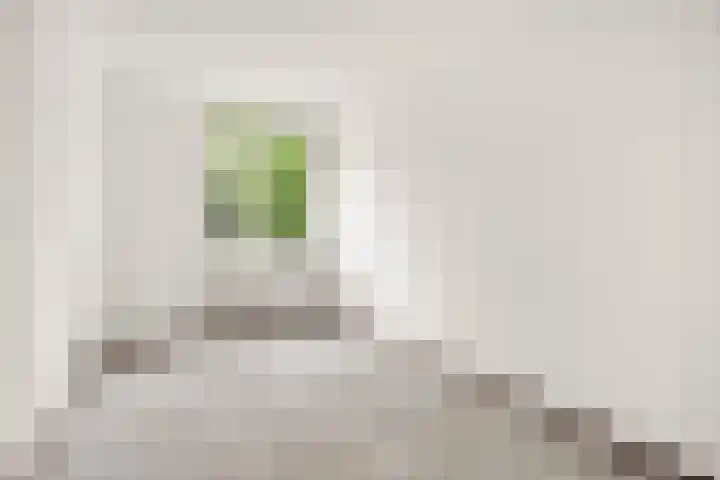 Kolfschotenstraat 254 Amsterdam thumbnail 6
