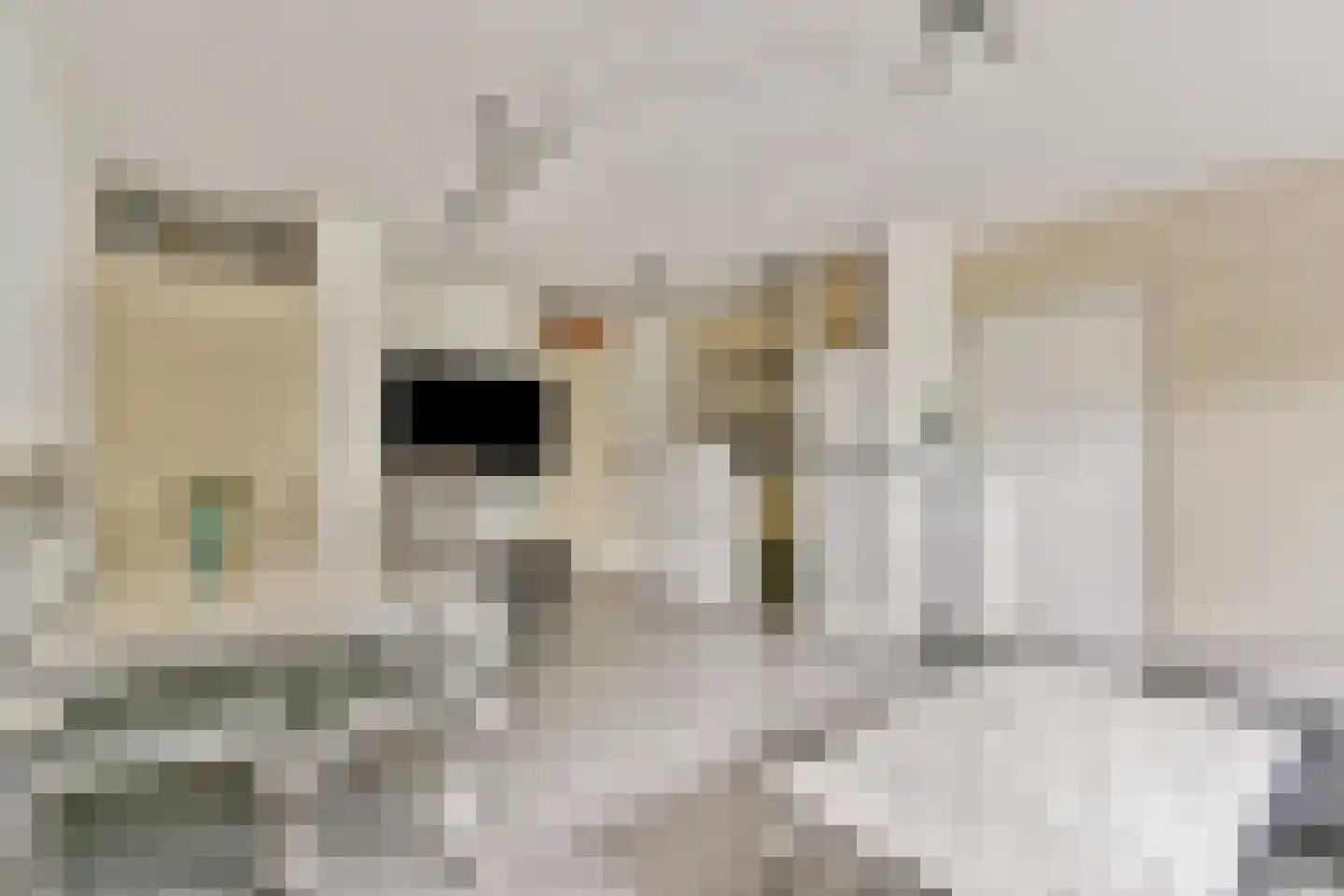Kolfschotenstraat 262 Amsterdam thumbnail 10