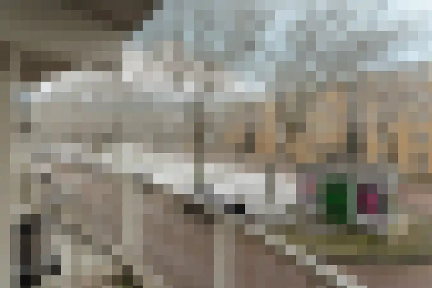 Kolfschotenstraat 78 Amsterdam thumbnail 14