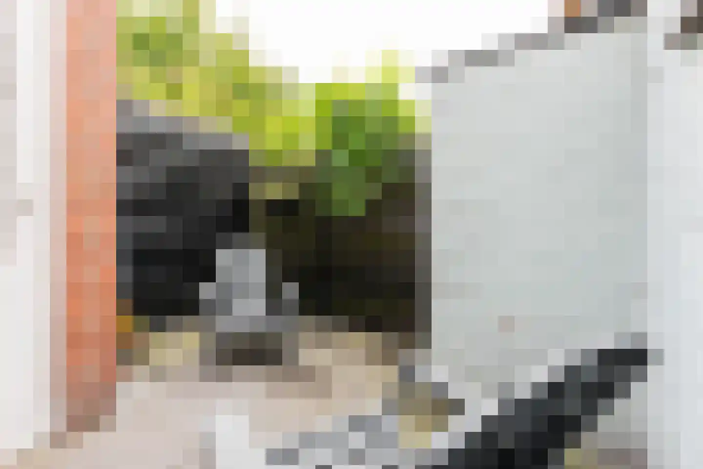 Kolfstraat 10 Groningen thumbnail 4