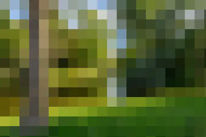 Kolfstraat 32 Groningen thumbnail 30