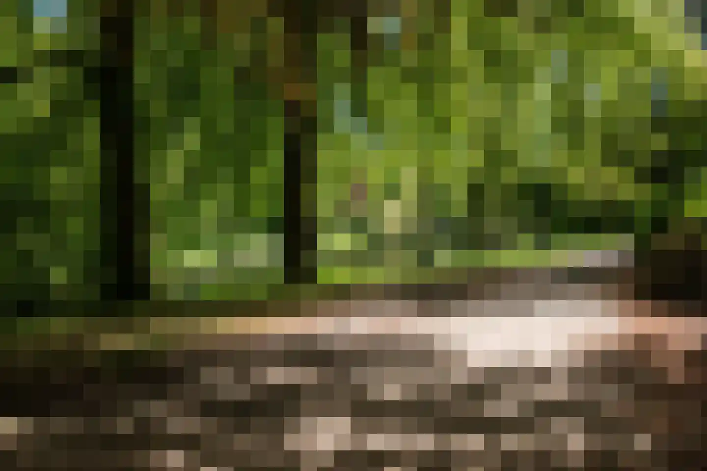 Kolfstraat 34 a Groningen thumbnail 35