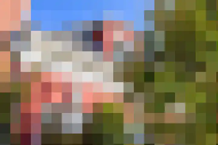 Kolfstraat 7 in Groningen