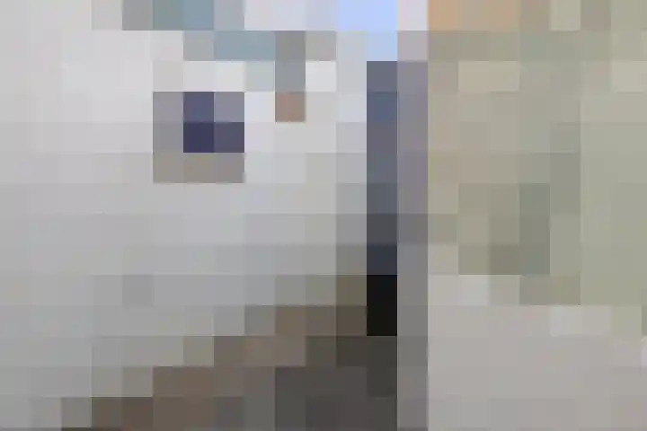 Kolfstraat 7 Groningen thumbnail 20