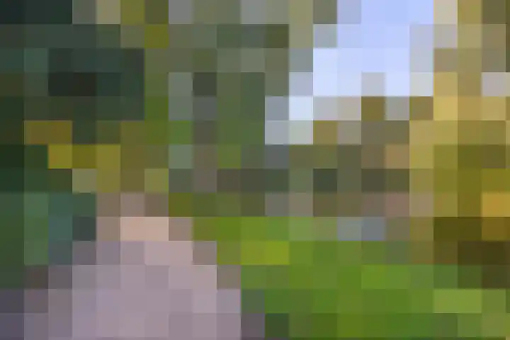 Kolfstraat 7 Groningen thumbnail 32