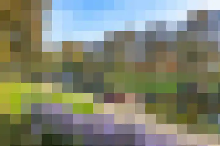 Kolfstraat 7 Groningen thumbnail 33