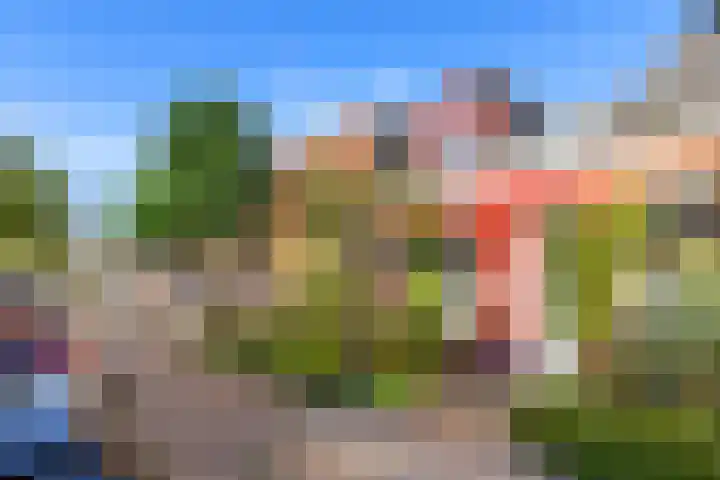 Kolfstraat 7 Groningen thumbnail 4