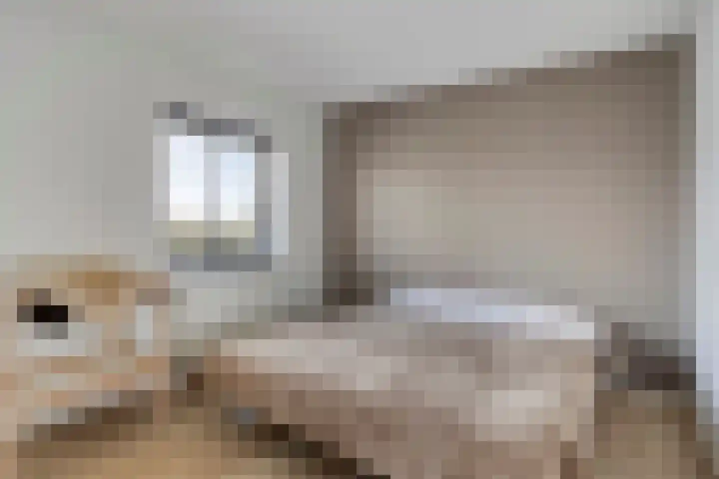 Kolfweg 6 Oude-Tonge thumbnail 22