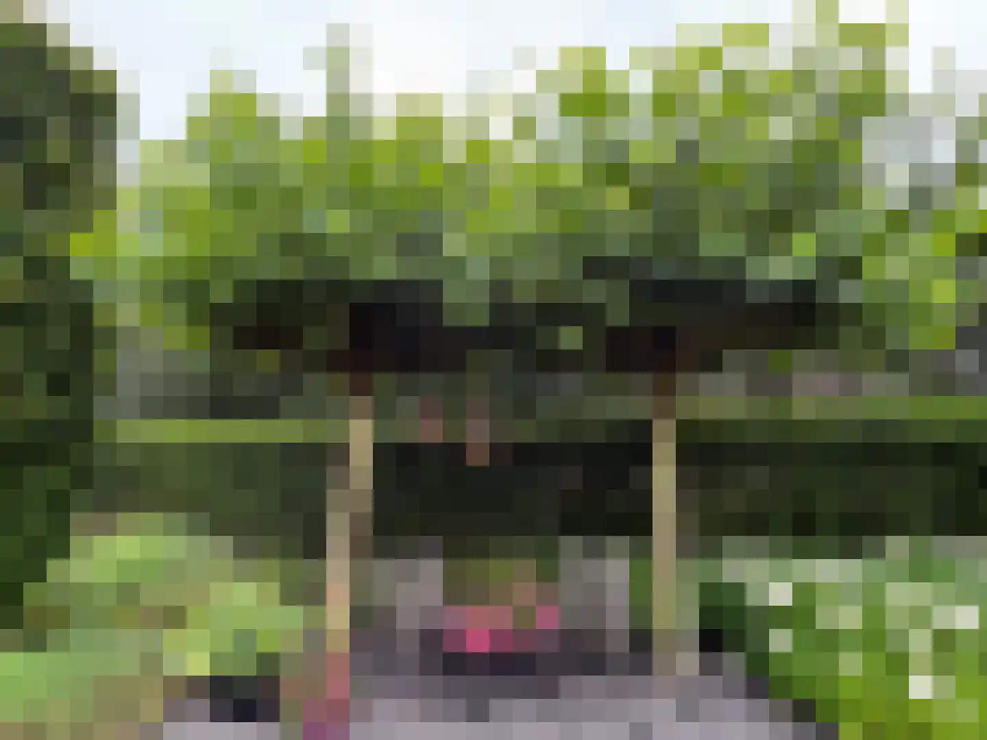 Kolfweg 6 Oude-Tonge thumbnail 33