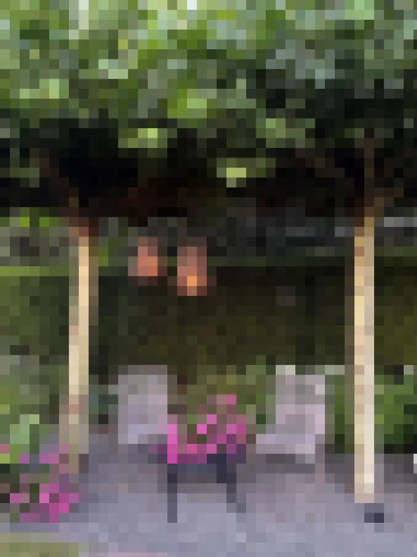 Kolfweg 6 Oude-Tonge thumbnail 34