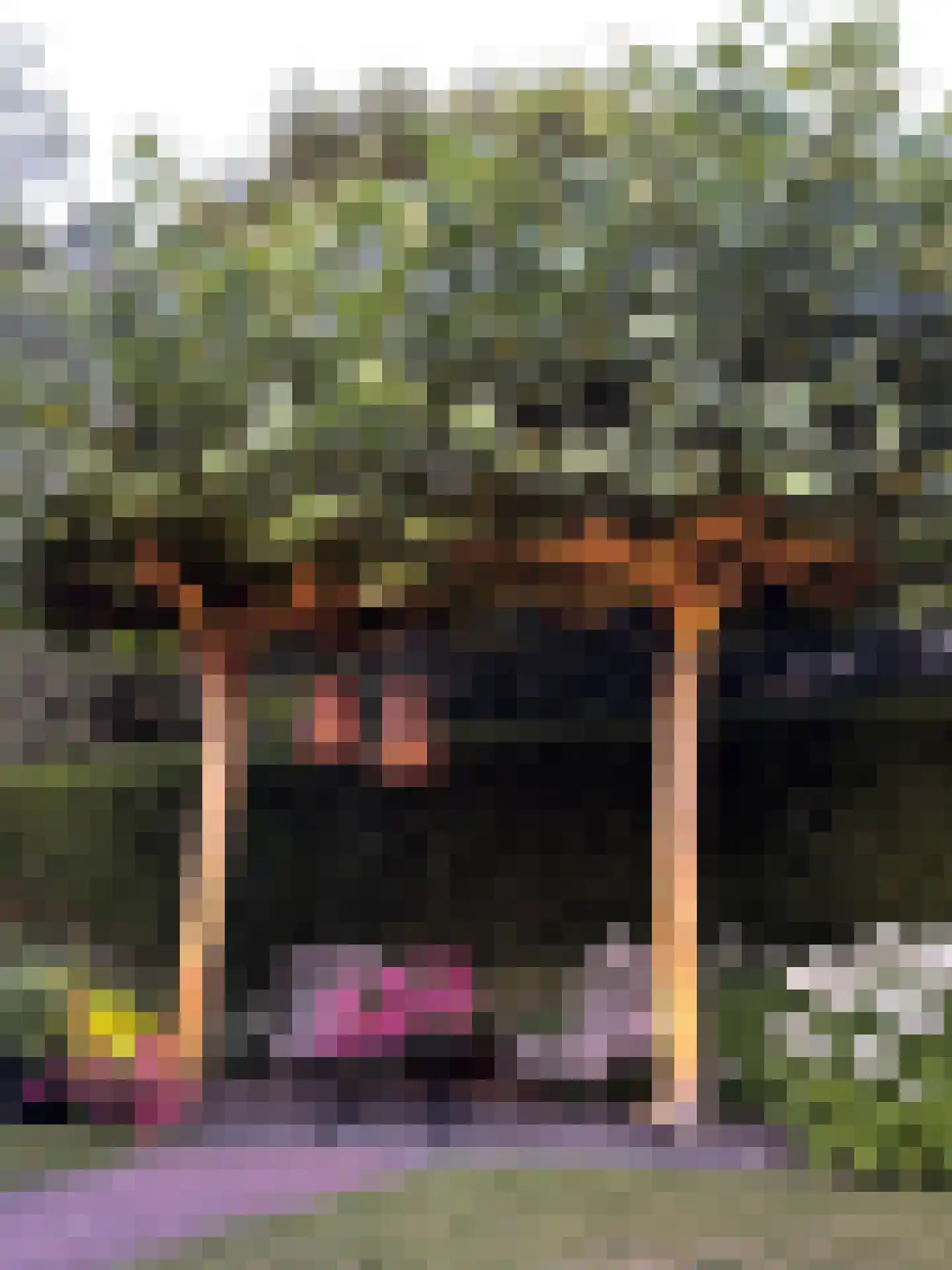 Kolfweg 6 Oude-Tonge thumbnail 35