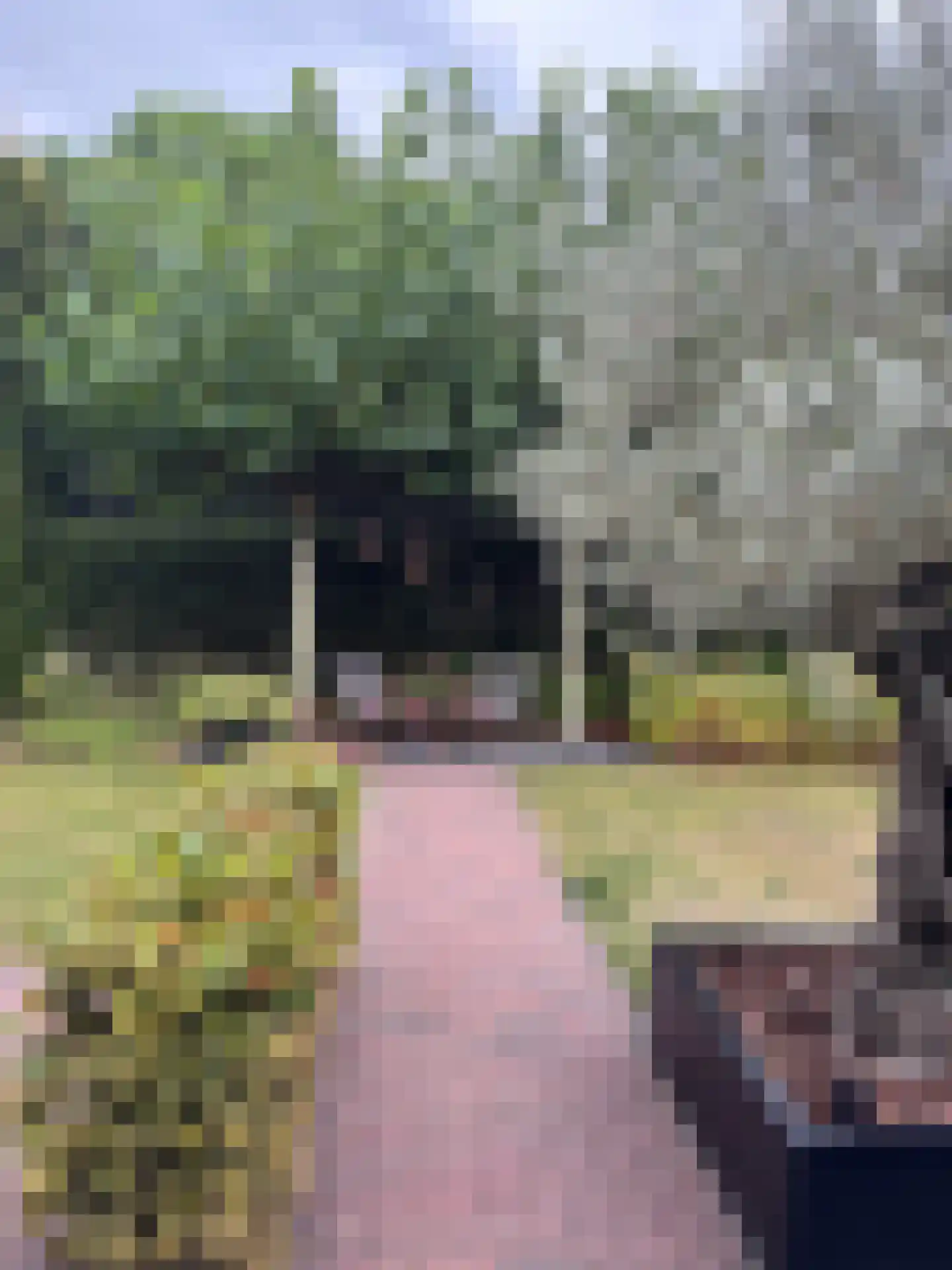 Kolfweg 6 Oude-Tonge thumbnail 37