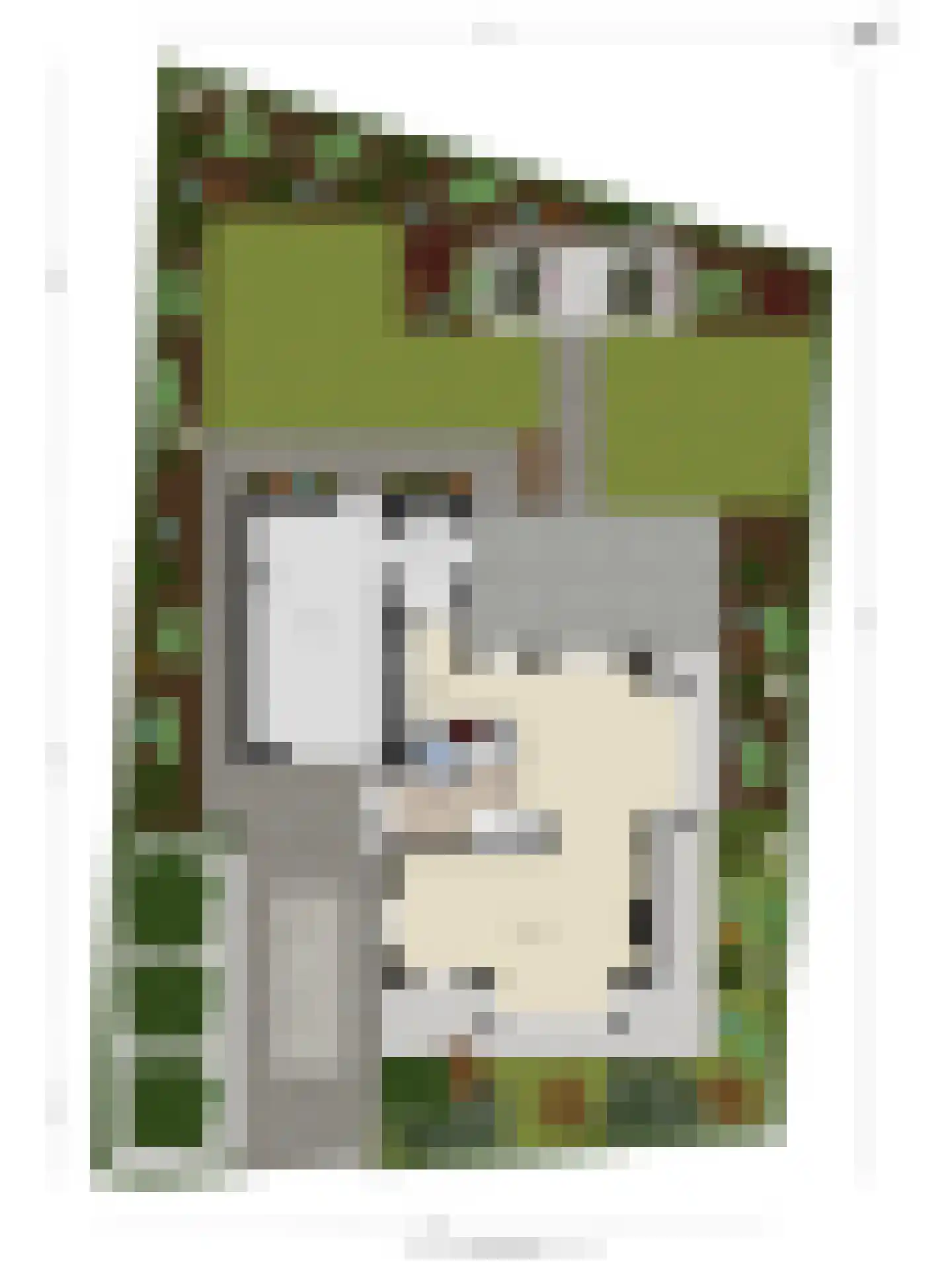 Kolfweg 6 Oude-Tonge thumbnail 50