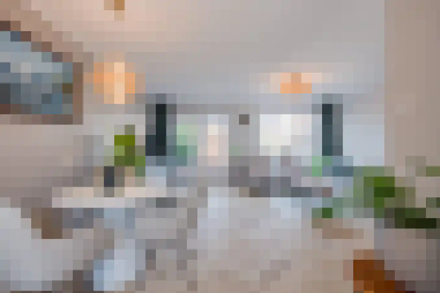 Kolgans 22 Diemen thumbnail 14