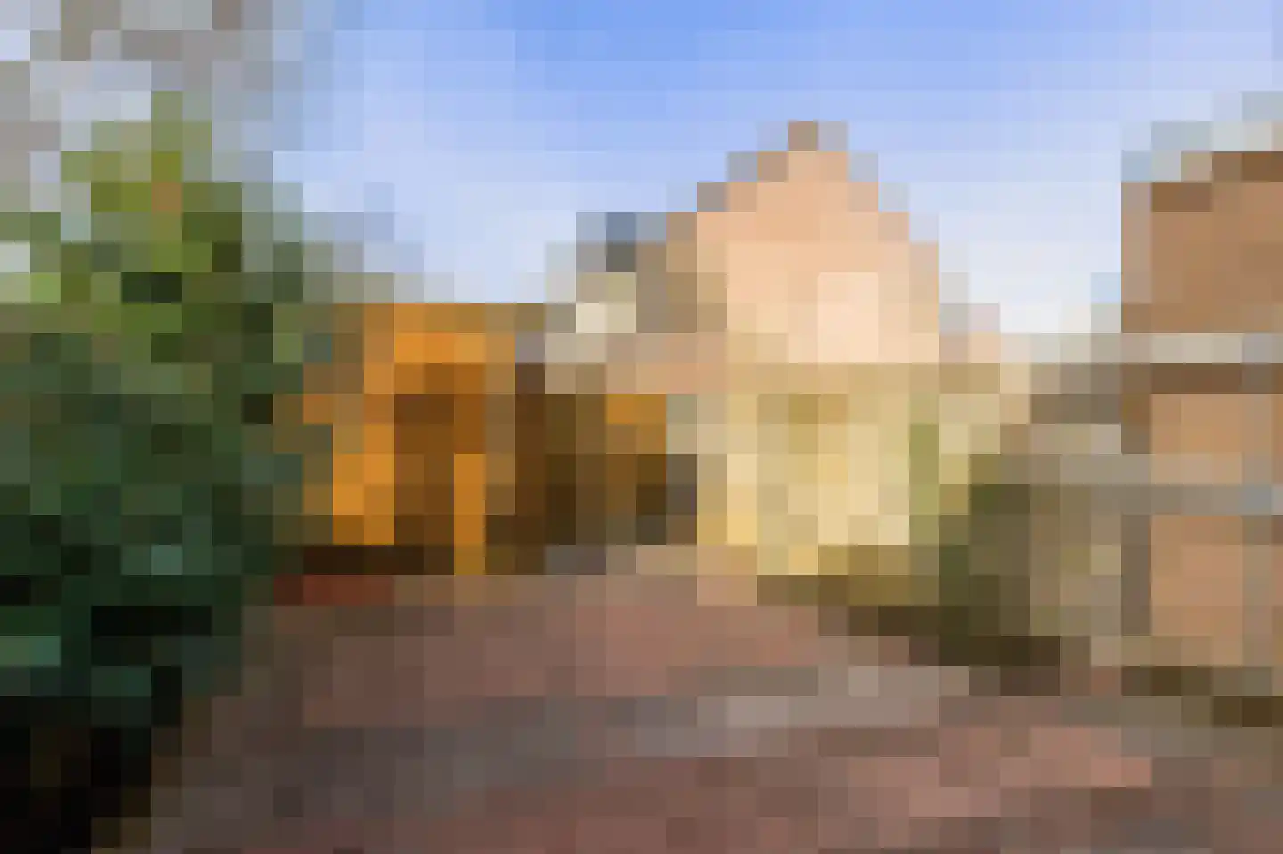 Kolgans 22 Diemen thumbnail 18