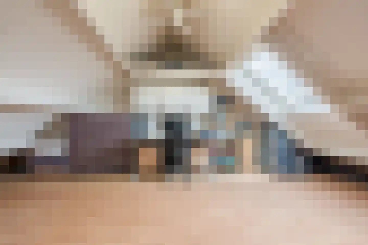 Kolgans 22 Diemen thumbnail 30