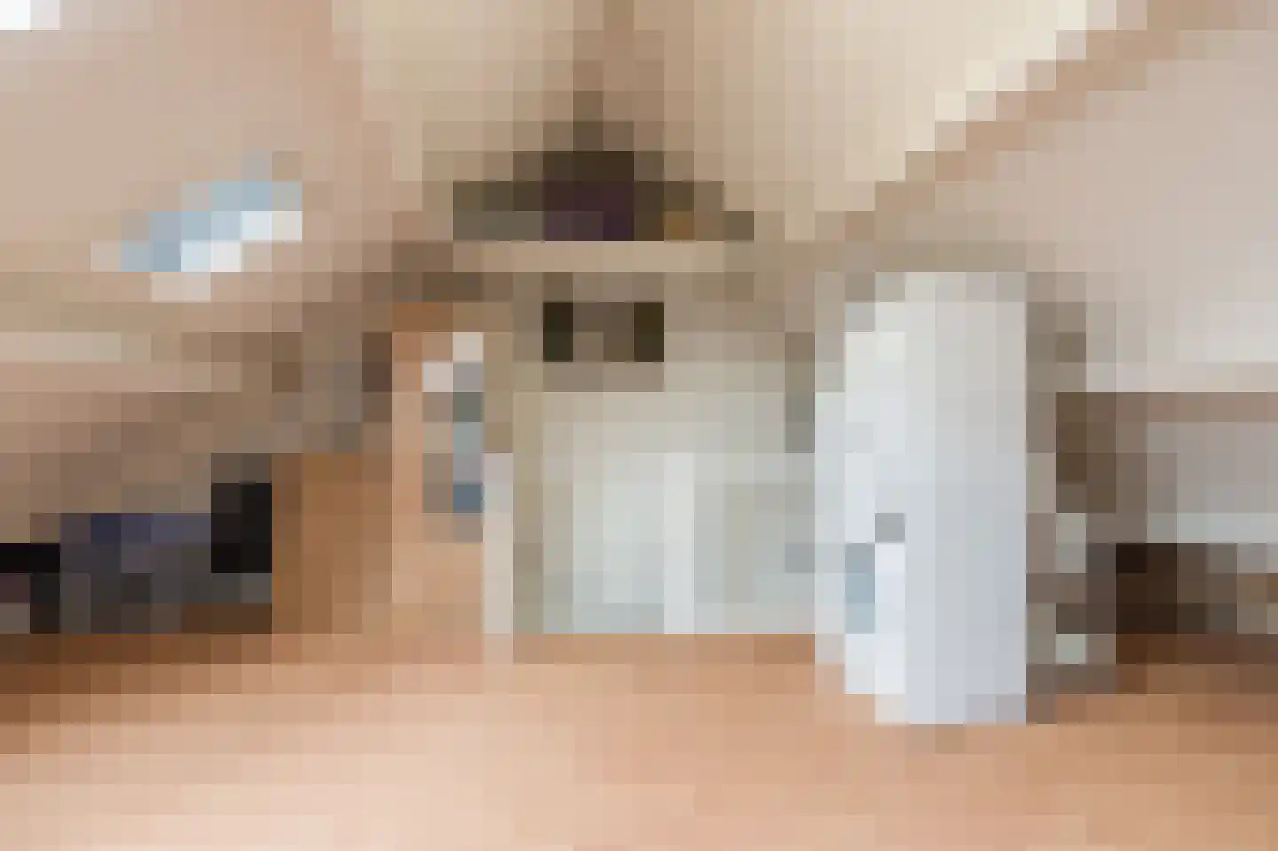 Kolgans 22 Diemen thumbnail 31