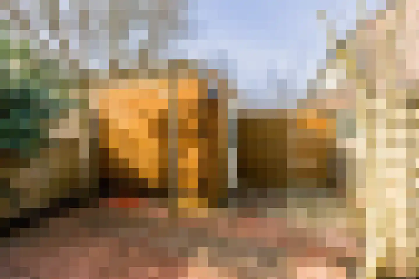 Kolgans 22 Diemen thumbnail 39