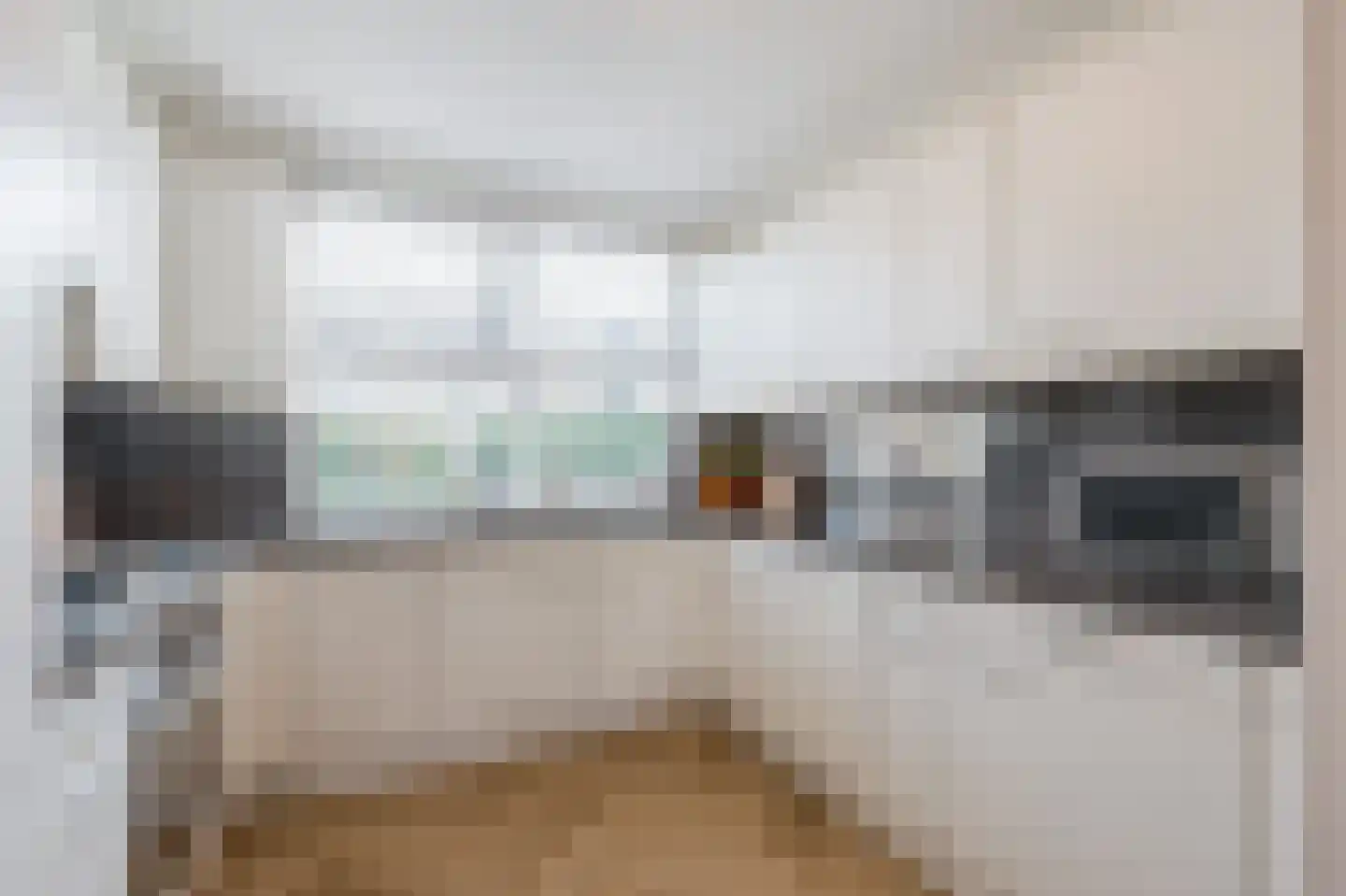 Kolgans 22 Diemen thumbnail 4