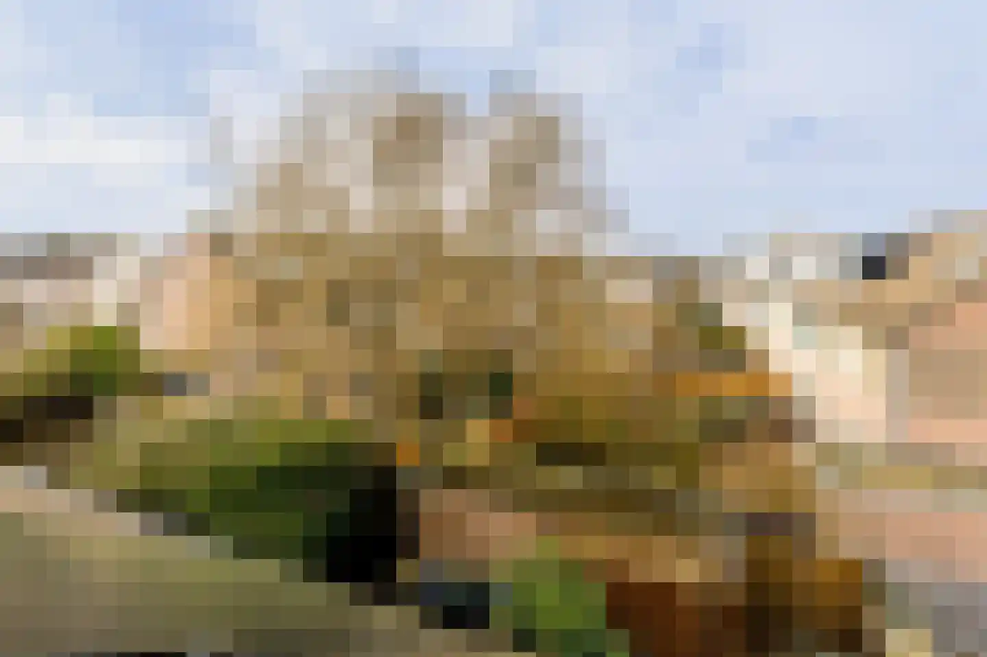 Kolgans 22 Diemen thumbnail 42
