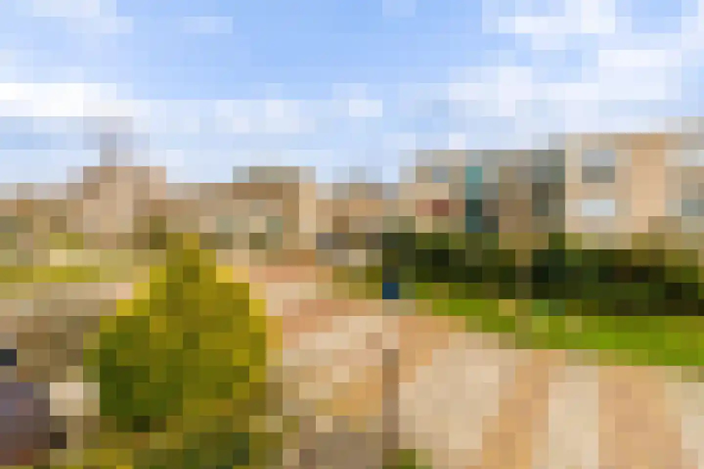 Kolgans 22 Diemen thumbnail 43