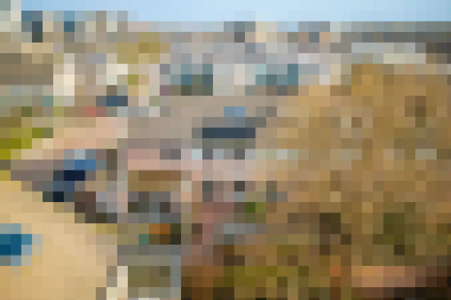 Kolgans 22 Diemen thumbnail 48