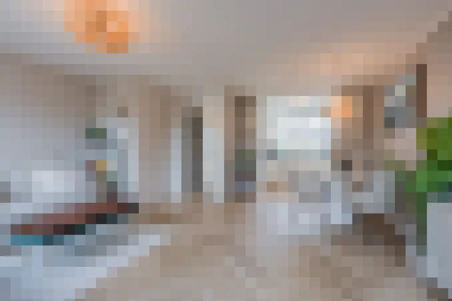 Kolgans 22 Diemen thumbnail 6