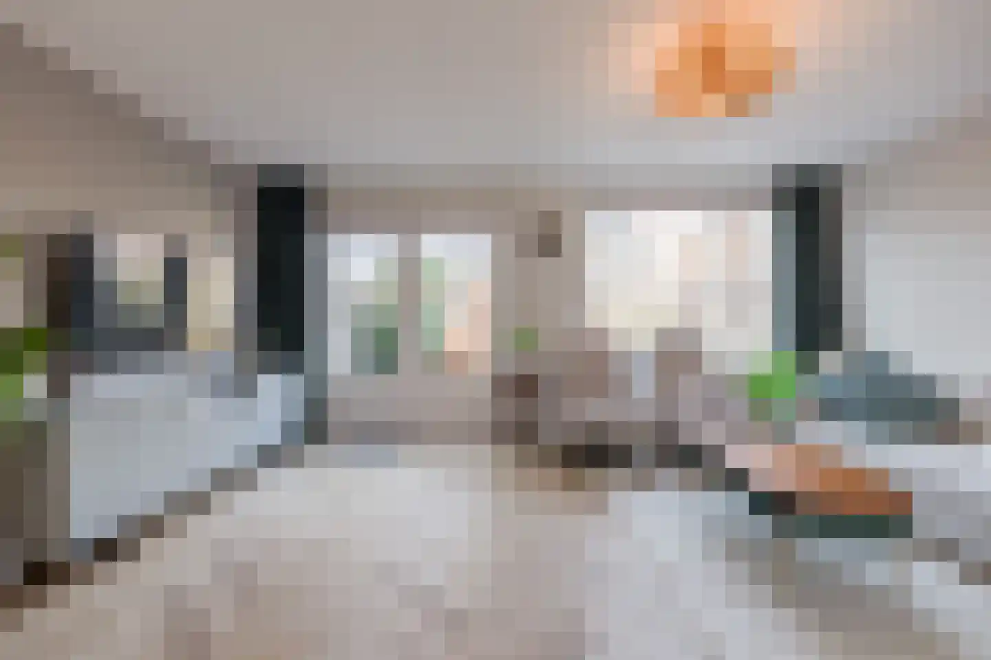 Kolgans 22 Diemen thumbnail 7