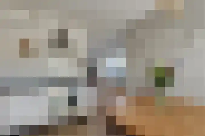 Kolgans 37 Nibbixwoud thumbnail 11