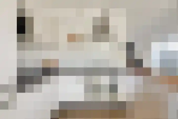 Kolgans 37 Nibbixwoud thumbnail 12