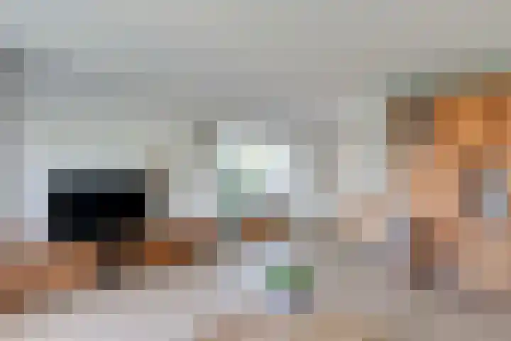 Kolgans 37 Nibbixwoud thumbnail 15