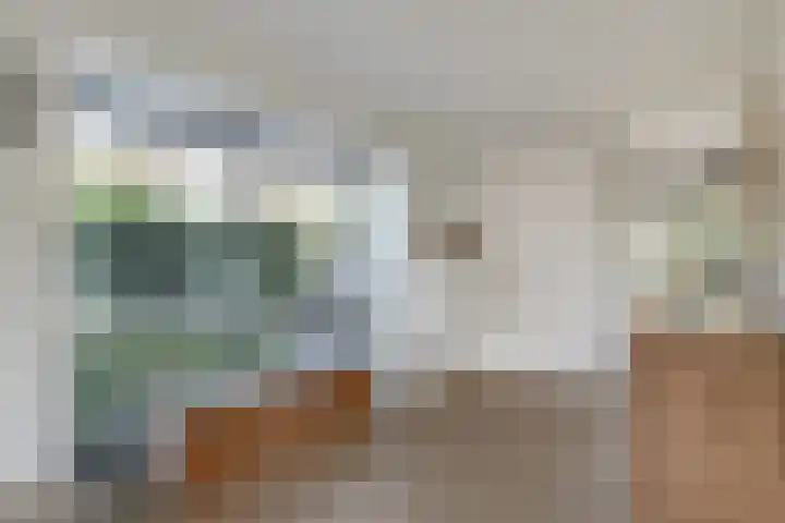 Kolgans 37 Nibbixwoud thumbnail 16