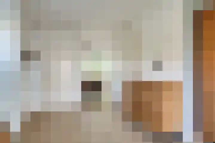 Kolgans 37 Nibbixwoud thumbnail 17