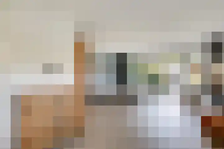 Kolgans 37 Nibbixwoud thumbnail 18