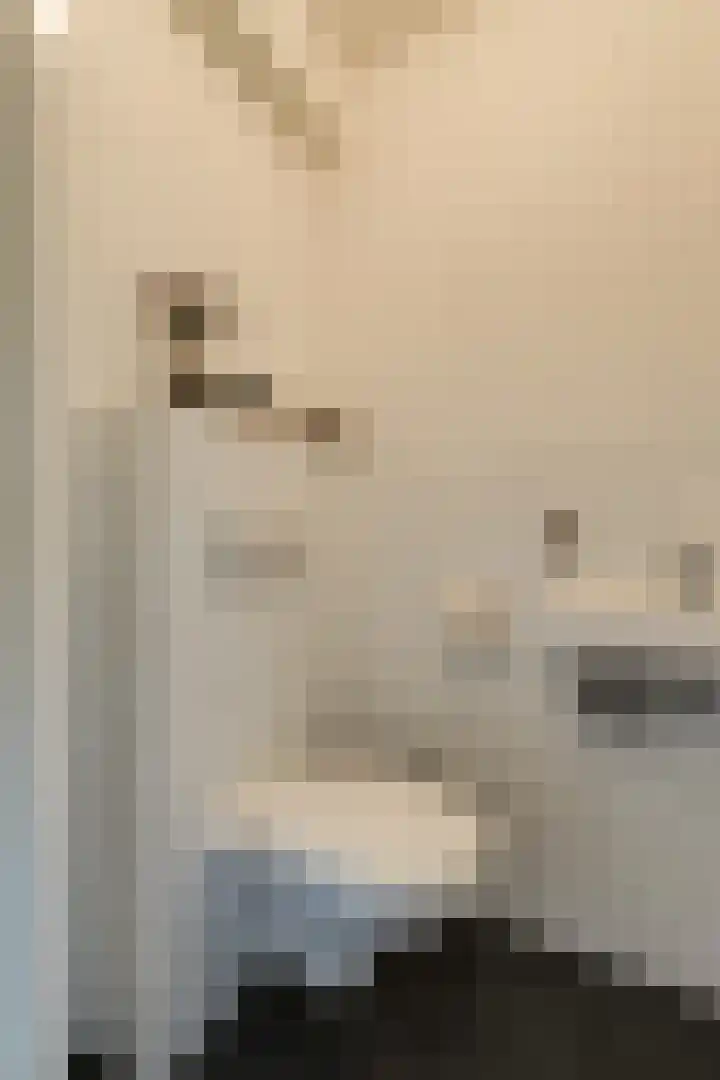 Kolgans 37 Nibbixwoud thumbnail 19