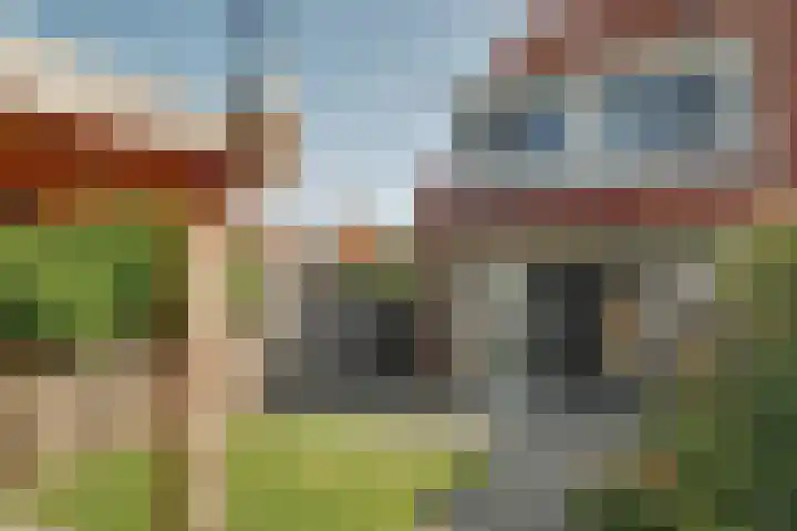 Kolgans 37 Nibbixwoud thumbnail 21