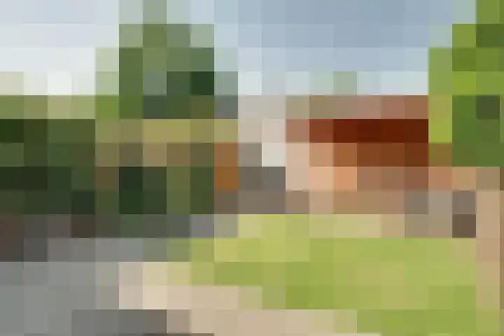 Kolgans 37 Nibbixwoud thumbnail 23