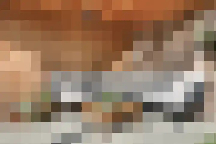 Kolgans 37 Nibbixwoud thumbnail 24