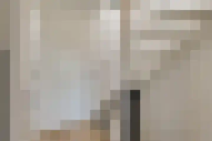 Kolgans 37 Nibbixwoud thumbnail 25