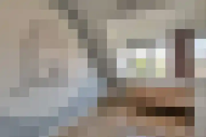 Kolgans 37 Nibbixwoud thumbnail 26
