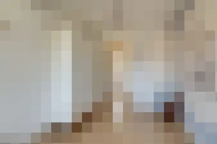 Kolgans 37 Nibbixwoud thumbnail 28