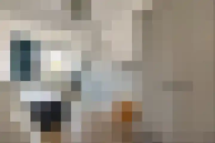 Kolgans 37 Nibbixwoud thumbnail 29