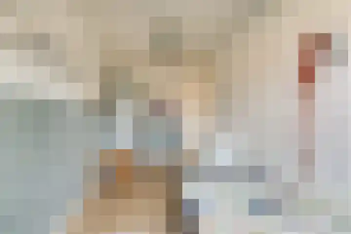 Kolgans 37 Nibbixwoud thumbnail 30