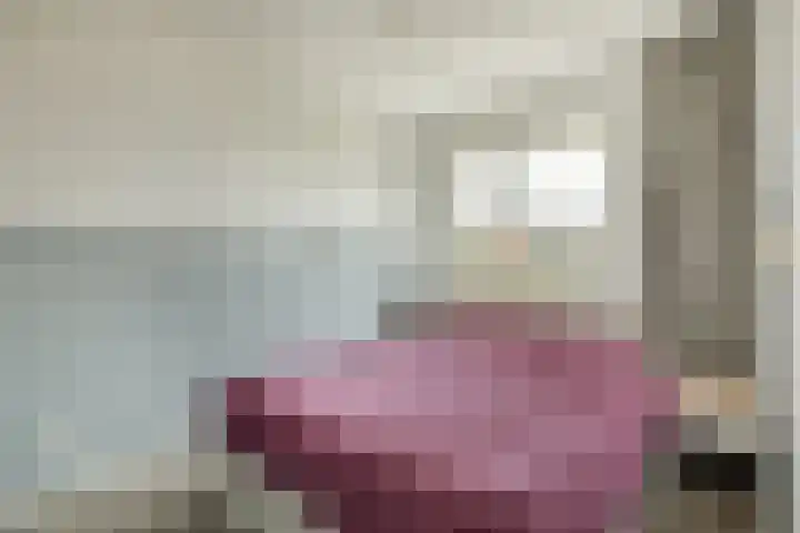 Kolgans 37 Nibbixwoud thumbnail 31