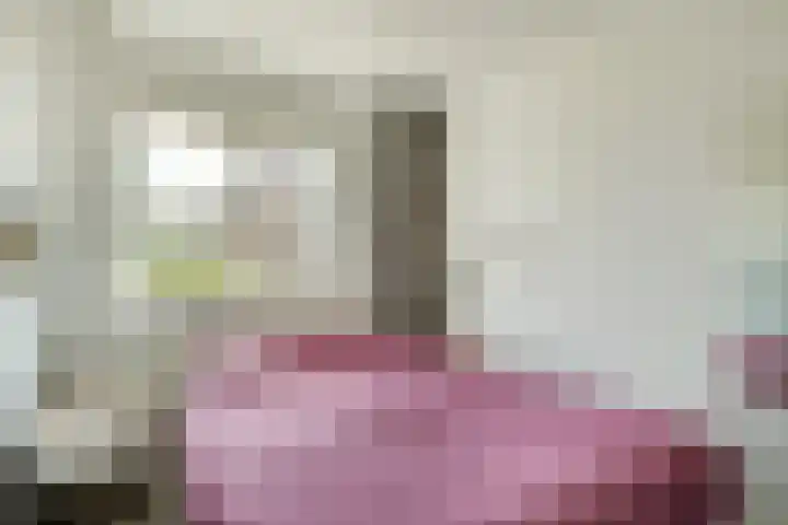 Kolgans 37 Nibbixwoud thumbnail 32