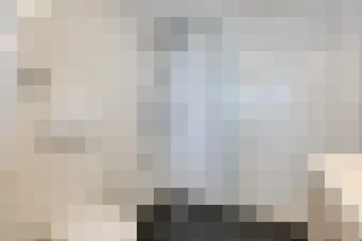 Kolgans 37 Nibbixwoud thumbnail 36