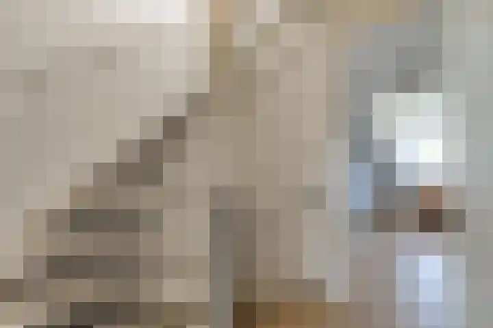 Kolgans 37 Nibbixwoud thumbnail 38